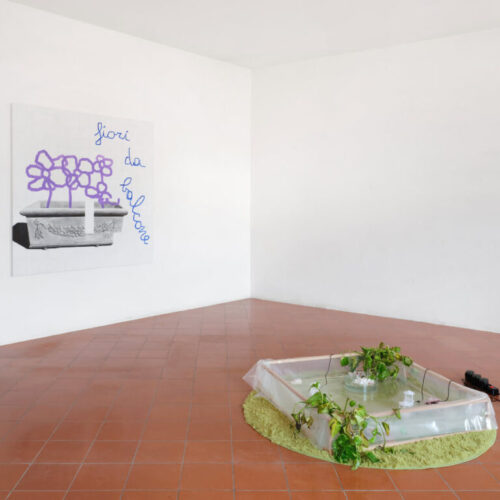 4- Fiori da balcone - Installation view with Chiara fantaccione